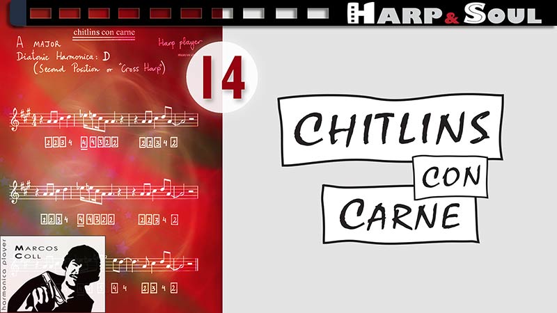 Chitlins-con-Carne, latin rhythm